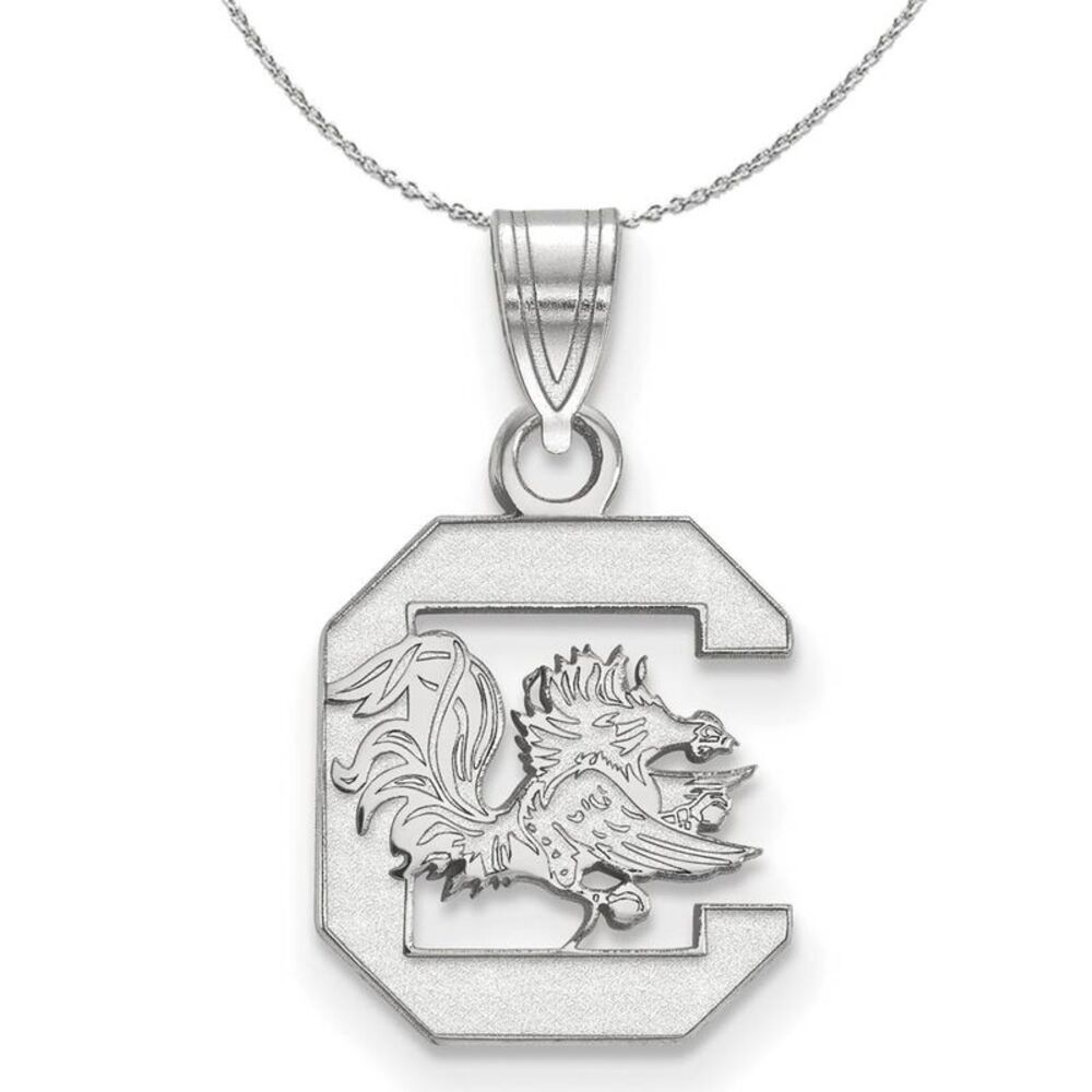 Sterling Silver South Carolina Small 'C' Pendant Necklace - 24 Inch